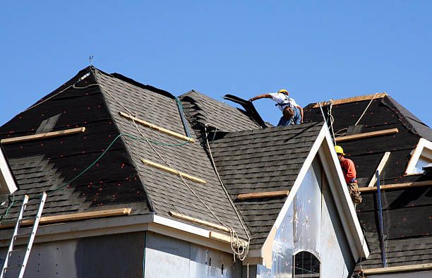 Best Roof Gutter Cleaning  in New Hackensack, NY